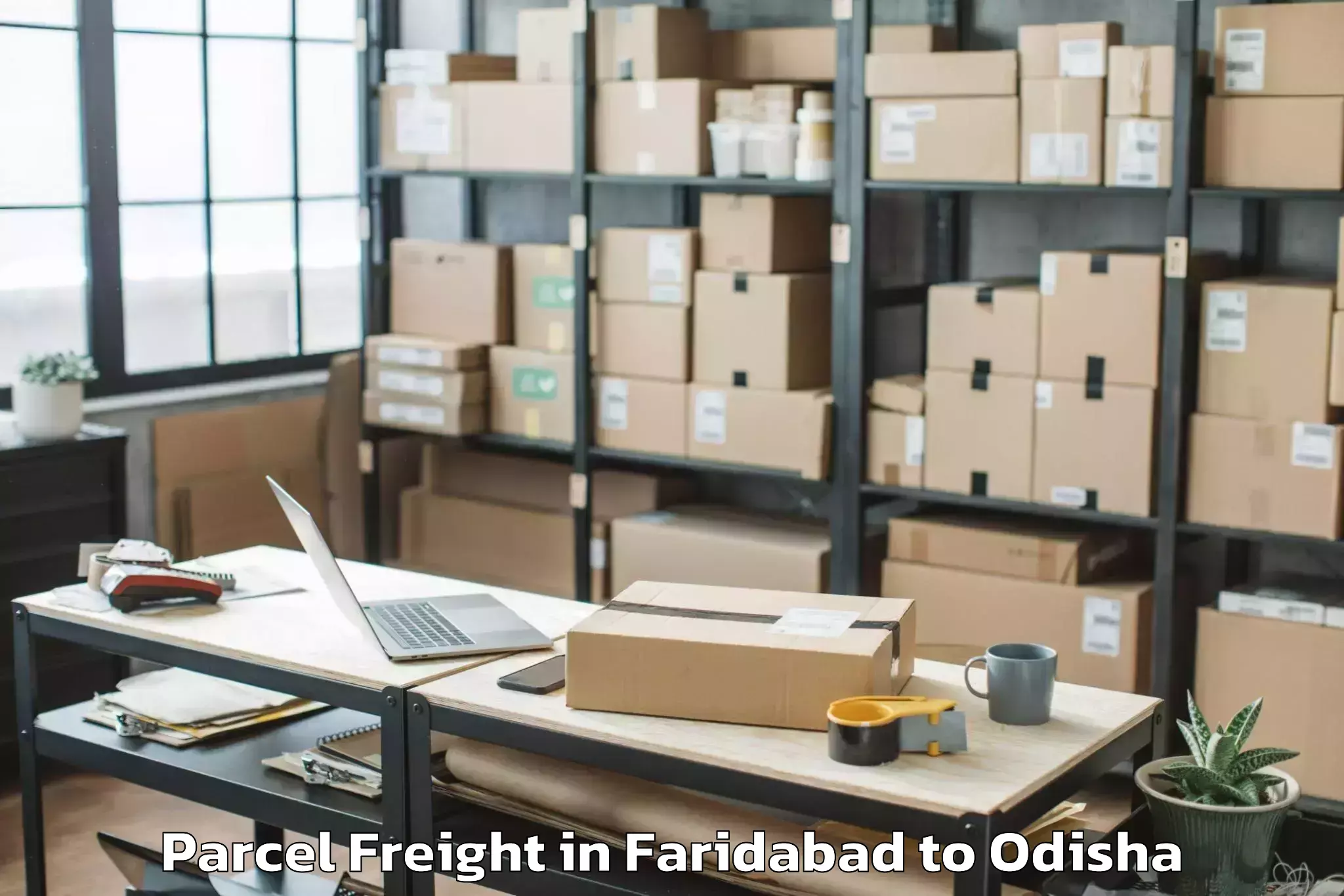 Hassle-Free Faridabad to Khandapada Parcel Freight